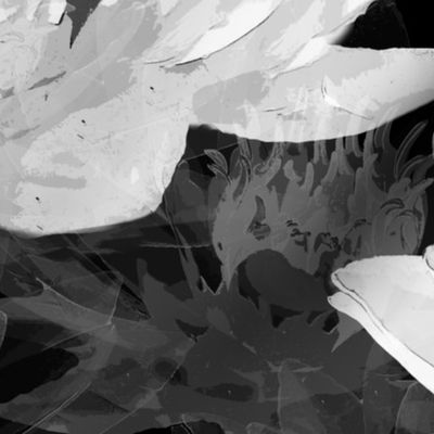 Water Lilies in Black and White