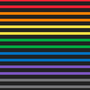 FG Rainbow Stripes Dark