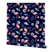 Flamingos In Space