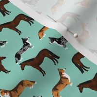 horse and corgis fabric - custom