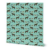 horse and corgis fabric - custom