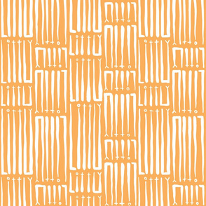 Litty Orange Bidirectional