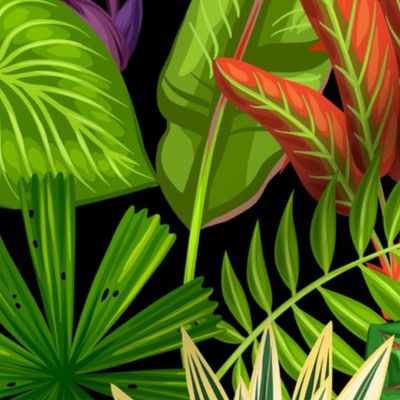 Rainforest Jungle Leaves