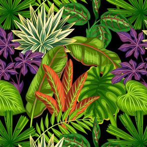 Rainforest Jungle Leaves