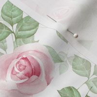 Rose pattern 5