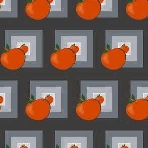 Oranges with Pictures of Oranges  in Gray Square Frames