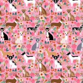 SMALL - Chihuahua dog dogs florals cute pink nursery baby cute girls pet dog fabric