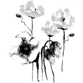 POPPY BW