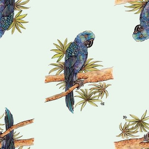 Tropical Blue Parrot by ArtfulFreddy