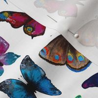 Butterflies collection || hand drawn