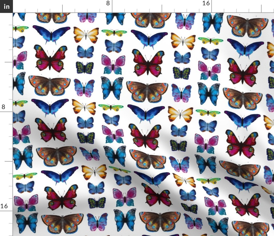 Butterflies collection || hand drawn