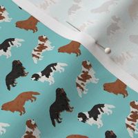 SMALL - cavalier king charles spaniel fabric cute dog pet dogs blemein fabric ruby cavalier black and tan dog cute dog coat dog breed fabric