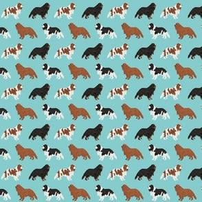 SMALL - cavalier king charles spaniel fabric cute dog pet dogs blemein fabric ruby cavalier black and tan dog cute dog coat dog breed fabric