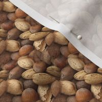 Mixed Nuts | Seamless Photo Print