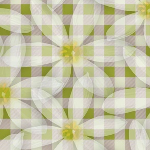 Gingham Check White Floral Pattern, Botanical Daisy Fabric, Summertime Green, White and Yellow Flower Print