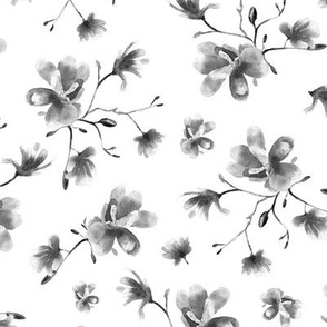 Platinum magnolia || watercolor flowers