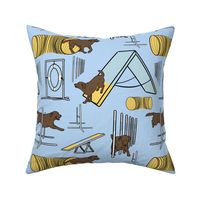 Simple chocolate Labrador Retriever agility dogs - blue