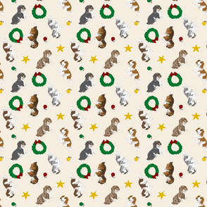 Tiny piebald Longhaired Dachshunds - Christmas