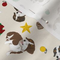 Tiny piebald Wirehaired Dachshunds - Christmas