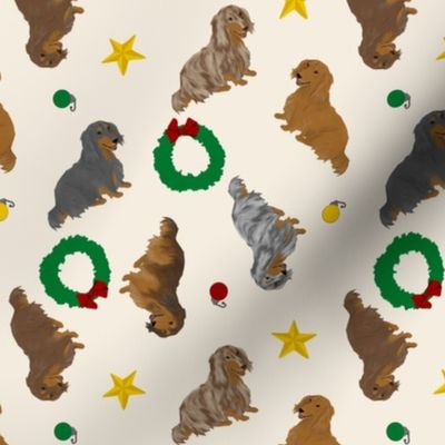 Tiny Longhaired Dachshunds - Christmas