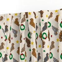 Tiny Longhaired Dachshunds - Christmas