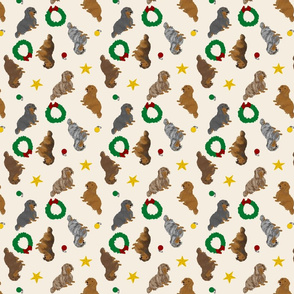 Tiny Longhaired Dachshunds - Christmas