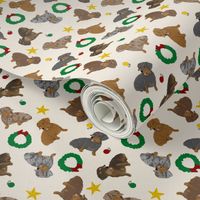 Tiny Wirehaired Dachshunds - Christmas