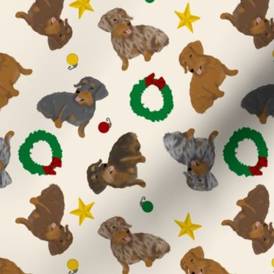 Tiny Wirehaired Dachshunds - Christmas