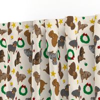 Tiny Wirehaired Dachshunds - Christmas
