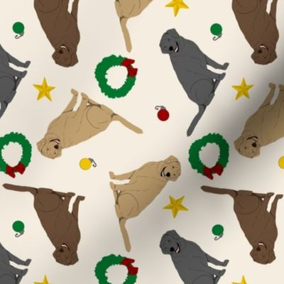 Tiny Labrador Retrievers - Christmas