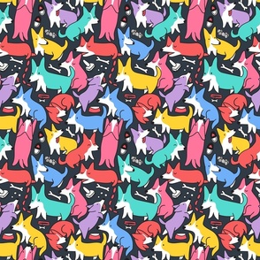 Cute and funny corgi pattern colorful