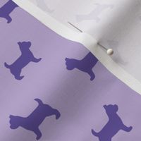 Yorkshire Terrier Purple