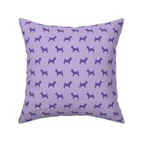 Yorkshire Terrier Purple