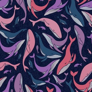 A school of whales - pink and purple