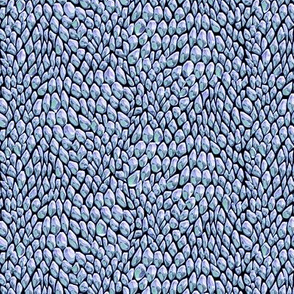 pale blue scales