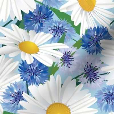 White Daisies on Blue