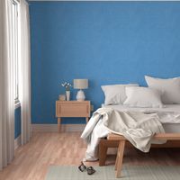 Pantone baby-boy blue linen for Arctic Wonderland