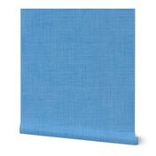 Pantone baby-boy blue linen for Arctic Wonderland