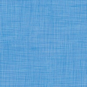 Pantone baby-boy blue linen for Arctic Wonderland