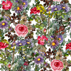 big wild red rose with purple asters in watercolor