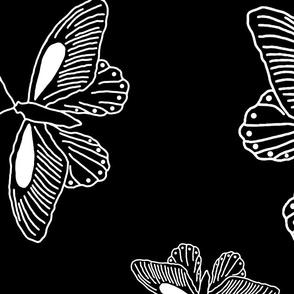 butterfly trios enlarged