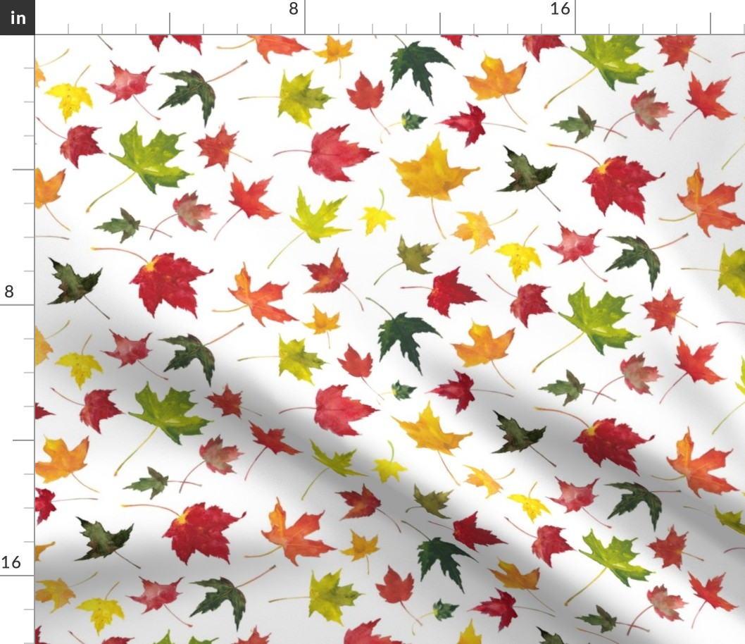 colorful watercolor fall maple leaves