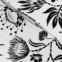 Protea Black and White