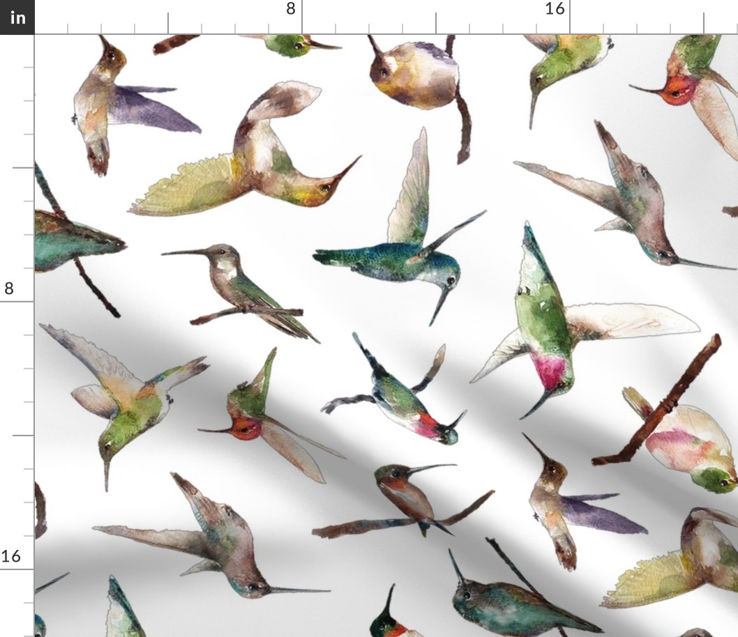 hummingbirds of all shapes in watercolor