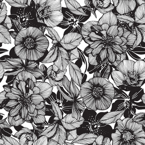 Hellebore lineart florals | LARGE
