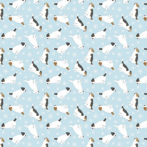 Tiny Jack Russell Terriers wire coat - winter snowflakes