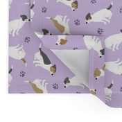 Tiny Jack Russell Terriers smooth coat - purple