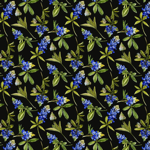 bluebonnet watercolor on black