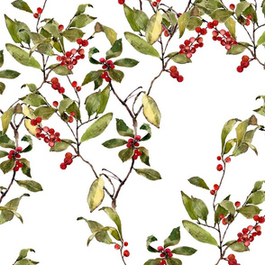 Large image of red winter berries on a branch in watercolor