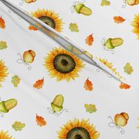 Sunflowers and acorns on white